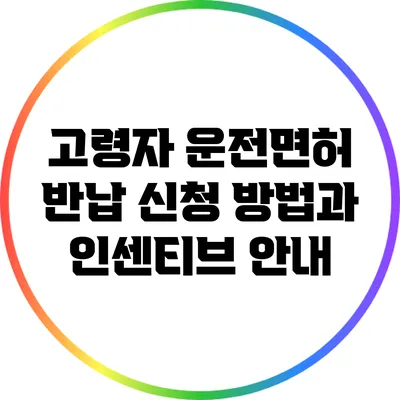 고령자 운전면허 반납 신청 방법과 인센티브 안내