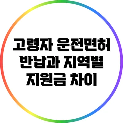 고령자 운전면허 반납과 지역별 지원금 차이