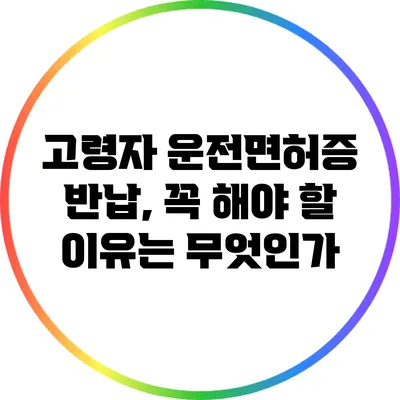 고령자 운전면허증 반납, 꼭 해야 할 이유는 무엇인가?