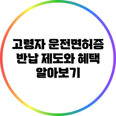 고령자 운전면허증 반납 제도와 혜택 알아보기