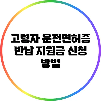 고령자 운전면허증 반납 지원금 신청 방법