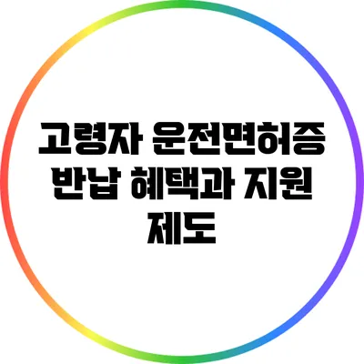 고령자 운전면허증 반납 혜택과 지원 제도