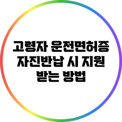 고령자 운전면허증 자진반납 시 지원 받는 방법