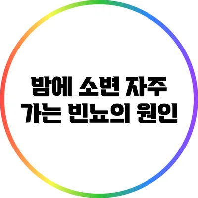 밤에 소변 자주 가는 빈뇨의 원인