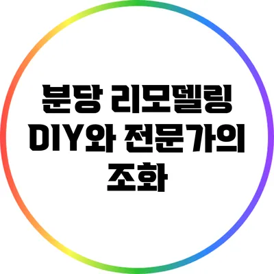 분당 리모델링: DIY와 전문가의 조화