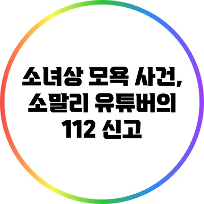 소녀상 모욕 사건, 소말리 유튜버의 112 신고