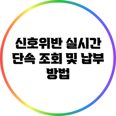 신호위반 실시간 단속 조회 및 납부 방법