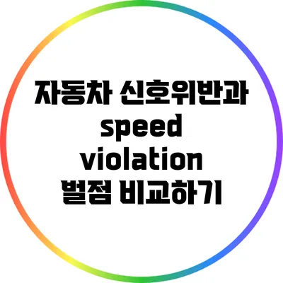 자동차 신호위반과 speed violation 벌점 비교하기