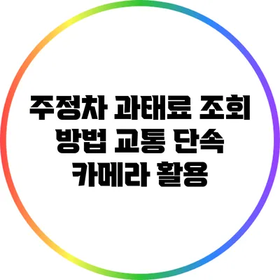 주정차 과태료 조회 방법: 교통 단속 카메라 활용