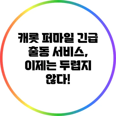 캐롯 퍼마일 긴급 출동 서비스, 이제는 두렵지 않다!