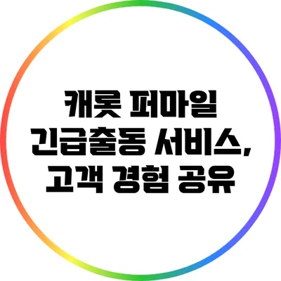 캐롯 퍼마일 긴급출동 서비스, 고객 경험 공유