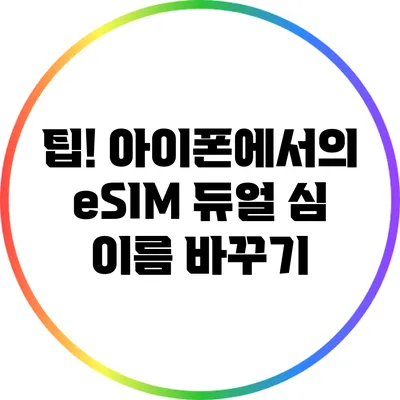 팁! 아이폰에서의 eSIM 듀얼 심 이름 바꾸기