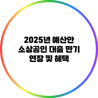 2025년 예산안: 소상공인 대출 만기 연장 및 혜택