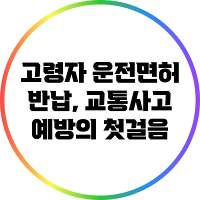 고령자 운전면허 반납, 교통사고 예방의 첫걸음