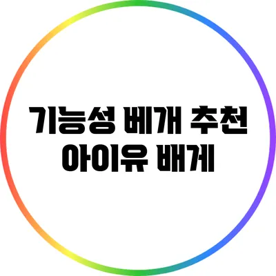 기능성 베개 추천: 아이유 배게