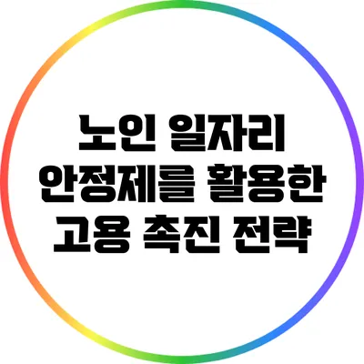 노인 일자리 안정제를 활용한 고용 촉진 전략