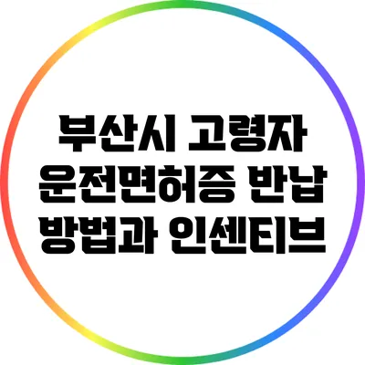 부산시 고령자 운전면허증 반납 방법과 인센티브