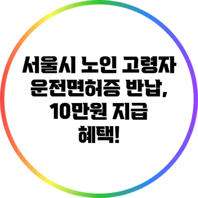 서울시 노인 고령자 운전면허증 반납, 10만원 지급 혜택!