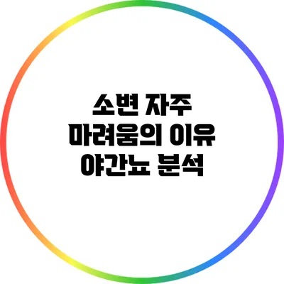 소변 자주 마려움의 이유: 야간뇨 분석