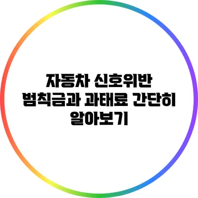 자동차 신호위반 범칙금과 과태료 간단히 알아보기