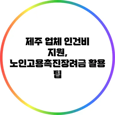 제주 업체 인건비 지원, 노인고용촉진장려금 활용 팁