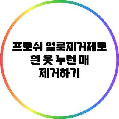 프로쉬 얼룩제거제로 흰 옷 누런 때 제거하기