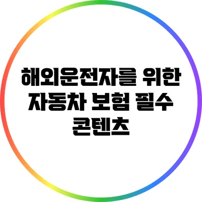 해외운전자를 위한 자동차 보험 필수 콘텐츠