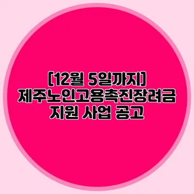 [12월 5일까지] 제주노인고용촉진장려금 지원 사업 공고