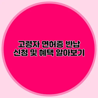 고령자 면허증 반납 신청 및 혜택 알아보기