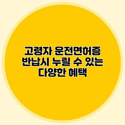고령자 운전면허증 반납시 누릴 수 있는 다양한 혜택