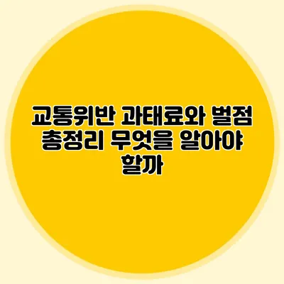 교통위반 과태료와 벌점 총정리: 무엇을 알아야 할까?