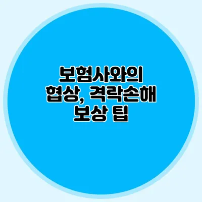 보험사와의 협상, 격락손해 보상 팁