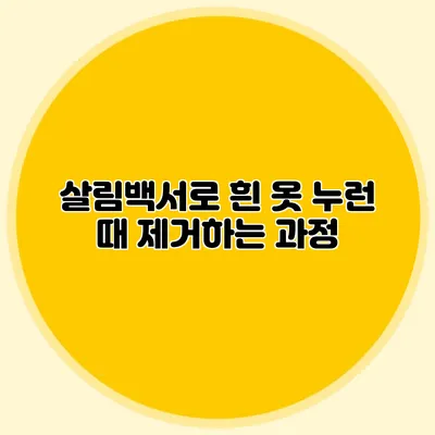 살림백서로 흰 옷 누런 때 제거하는 과정