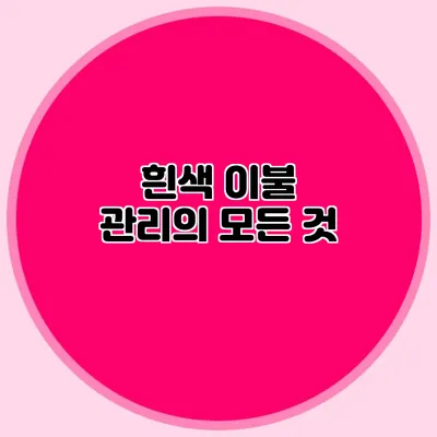 흰색 이불 관리의 모든 것