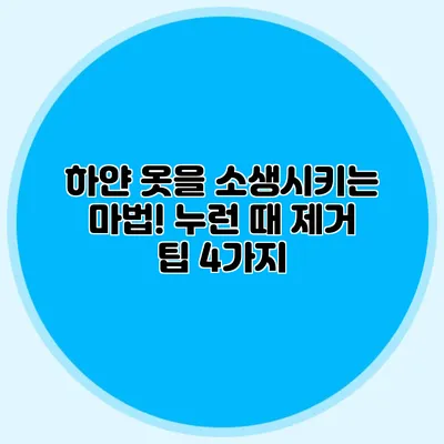 하얀 옷을 소생시키는 마법! 누런 때 제거 팁 4가지